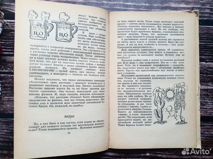 Гришин. Покорившие солнце 1978 г