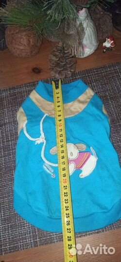 Костюм для маленькой собачки