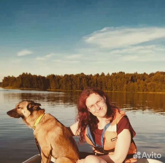 Няня для Вашего питомца (зооняня)