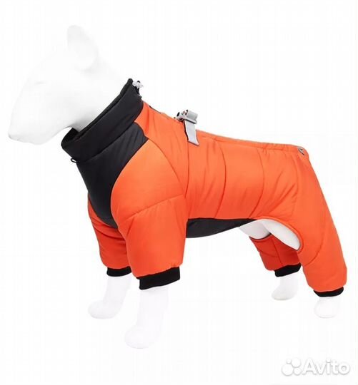 Одежда для средних собак