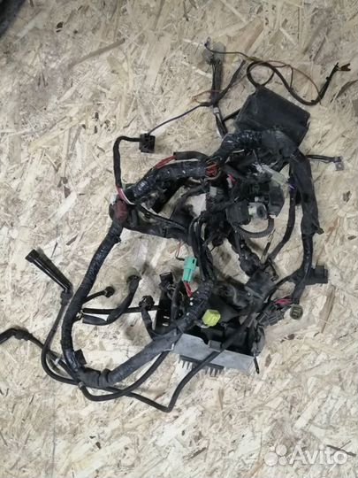 Продам проводку на Suzuki Boulevard M50 Intruder