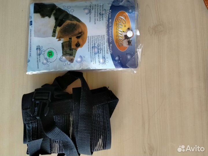 Ошейник и намордник