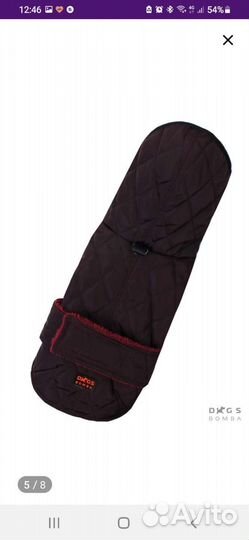 Одежда для собак