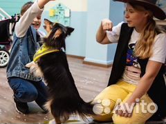 Дрессированные собаки на праздники, день рождения