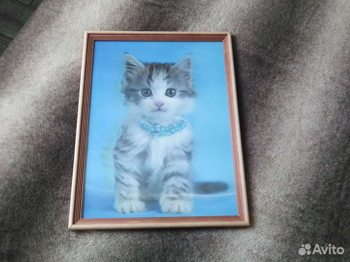 Картина 5D 30х40 Котёнок