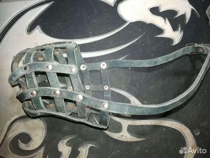 Ошейник, шлейка, намордник