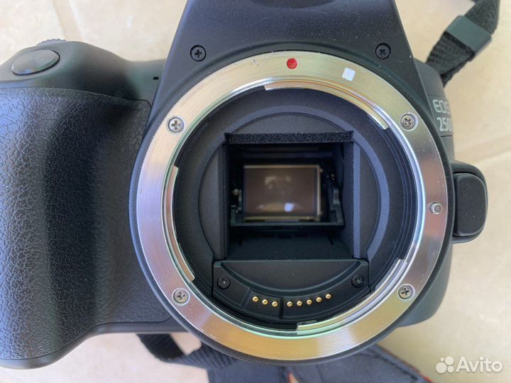 Зеркальный фотоаппарат Canon EOS 250D Kit 18-55mm