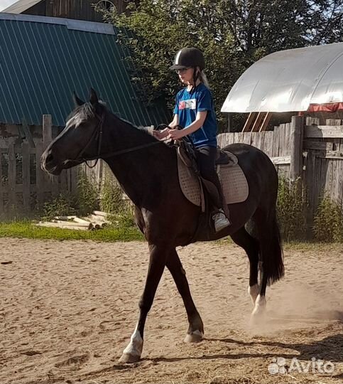 Тренировки по верховой езде и выезды на прогулки