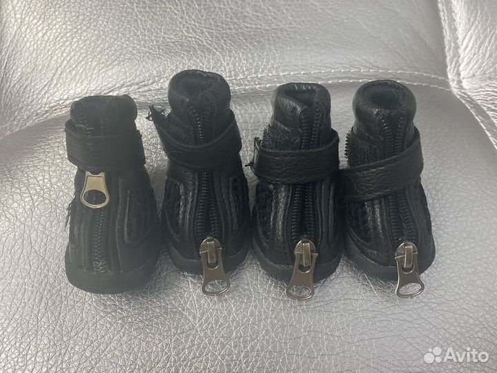 Ботинки для собак