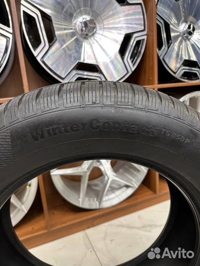 Continental WinterContact TS 850 P SUV 255/60 R19 113V