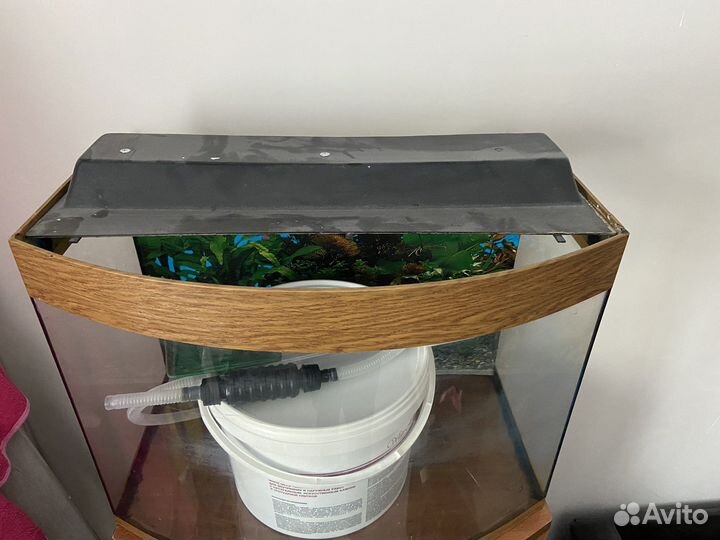 Аквариум