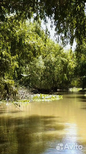 Буэнос-Айрес Топ-Экскурсия Городок Тигре, или Путь