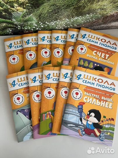 Развивающие книги школа 7 гномов 4+