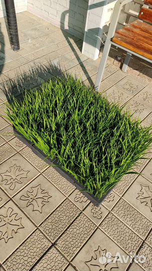 Искусственная трава, осока в ящике, блоке, кашпо