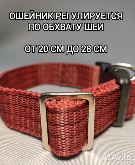 Ошейник для собак от Bax Dog