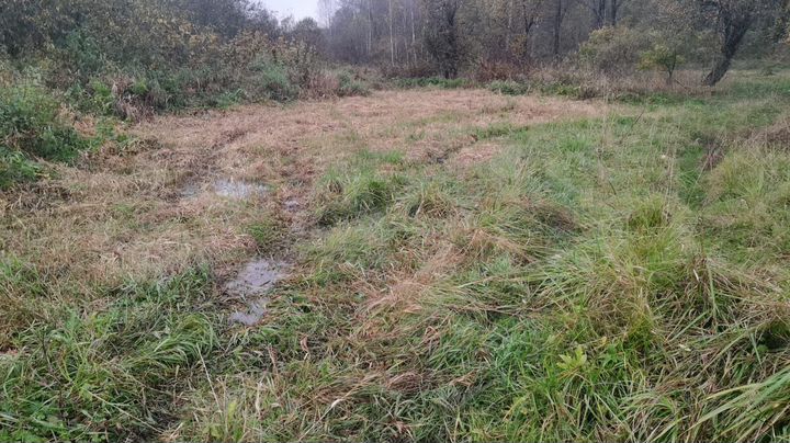 Участок 3 га (СНТ, ДНП)