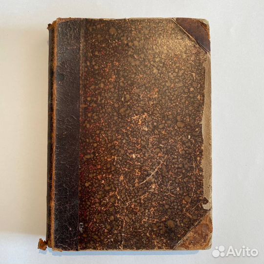 П. Маевский. Флора средней России. 1895 г