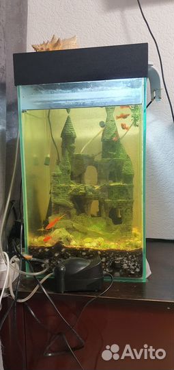 Аквариум