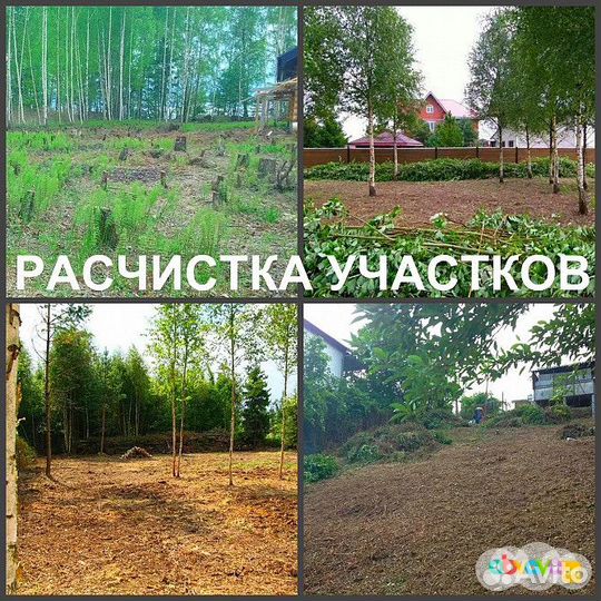 Расчистка участка