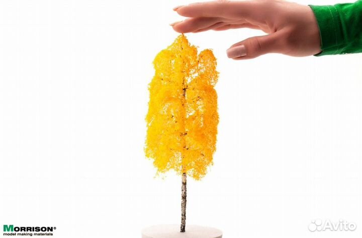 Дополнение к моделям Morrison 011beo020