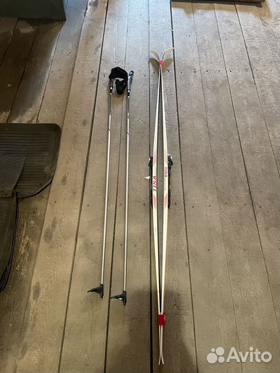 Беговые лыжи