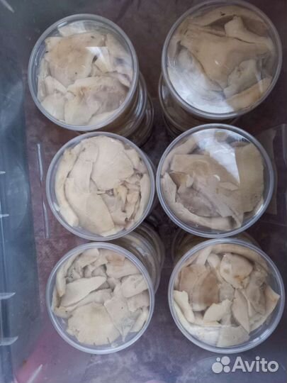 Грибы грузди белые соленые