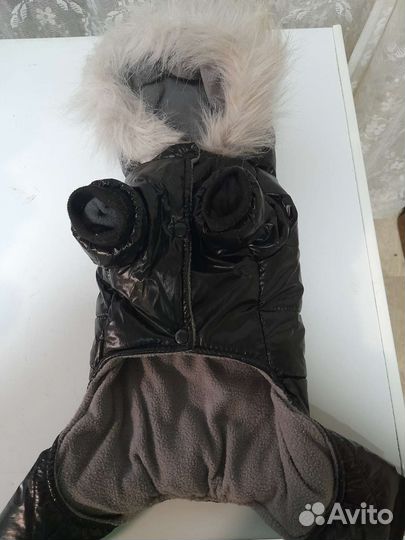 Одежда для собак мелких пород