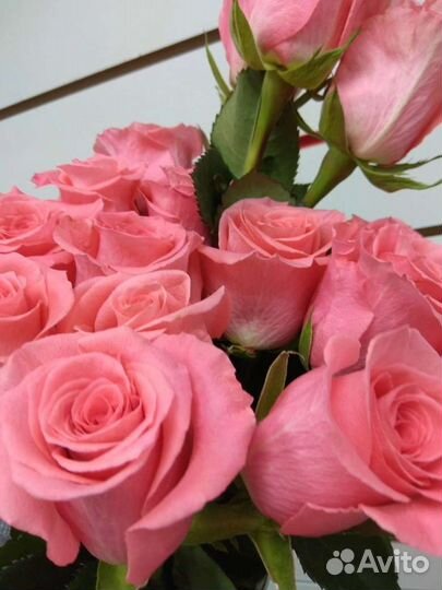 Цветы розы букет