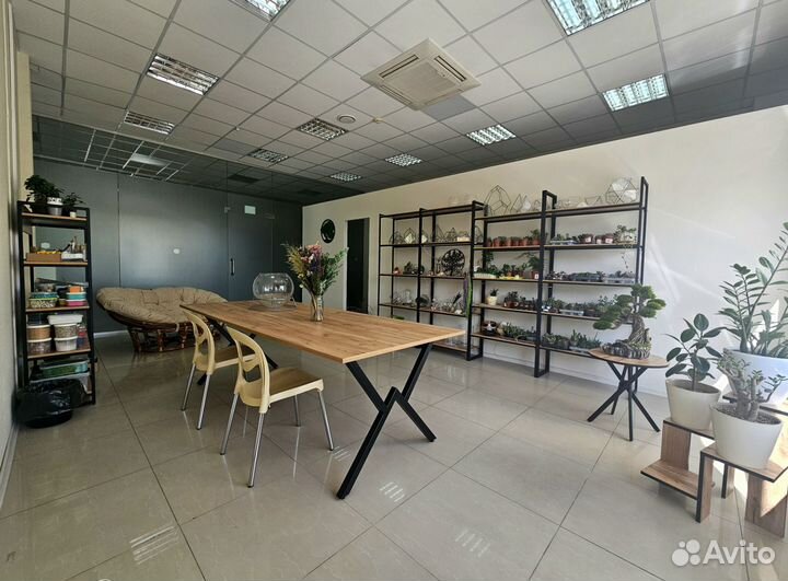 Мастер-класс по изготовлению флорариума