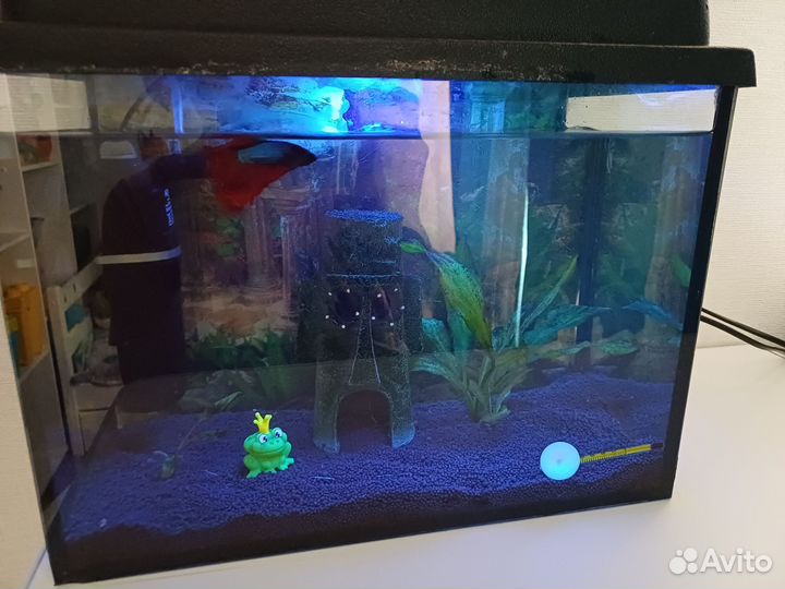 Аквариум 25 литров