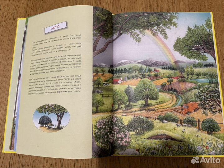 Сюзанна Риха книга 