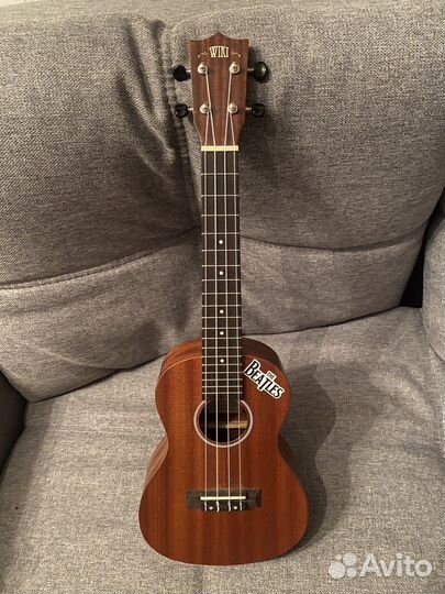 Укулеле концерт