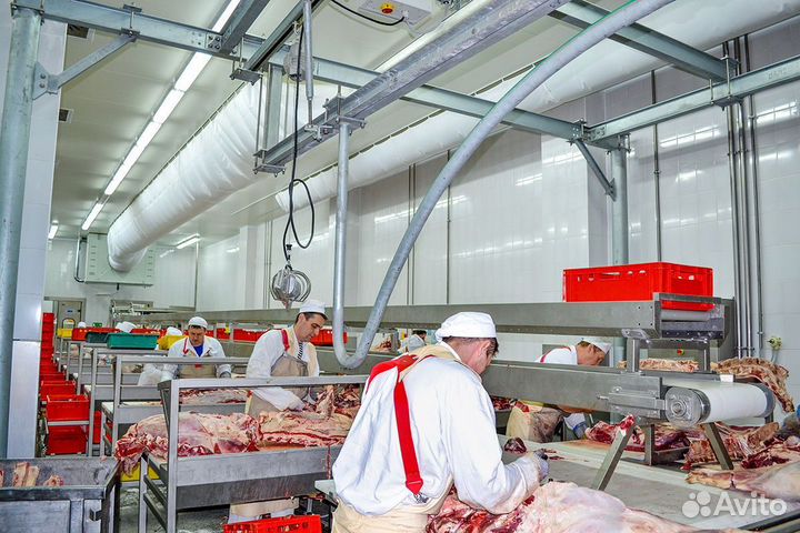 Разнорабочие /оператор линии вахтой