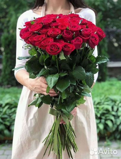 Розы гиганты 140 150 160 170 180 200