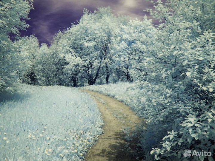 Полноспектровой фотоаппарат Nikon