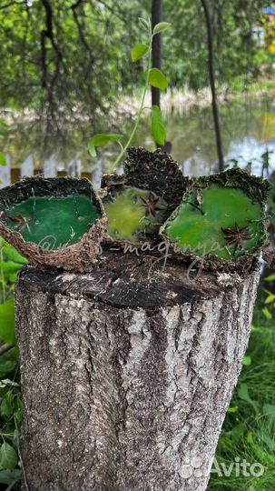 Земляные свечи