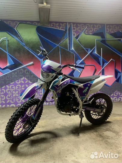BSE Z1