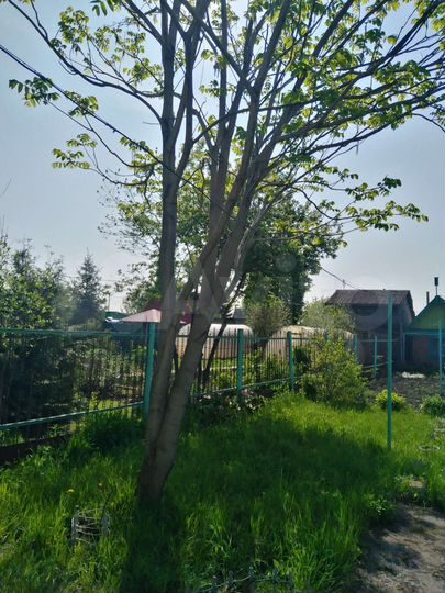 Дача 54 м² на участке 7 сот.