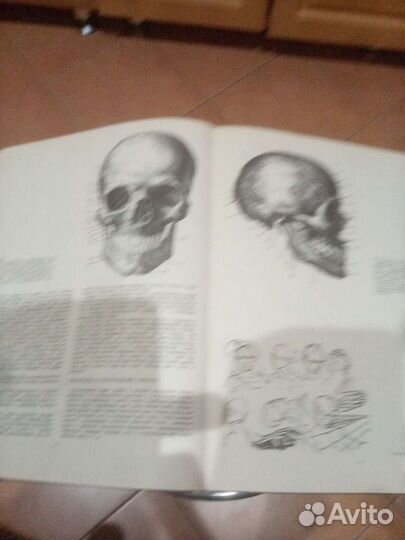 Книга пластическая анатомия и изображение человека