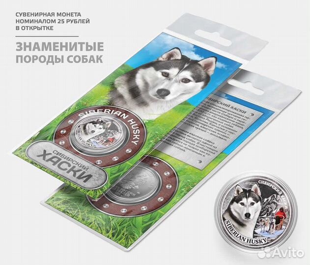 Сувенирная монета 25 рублей 