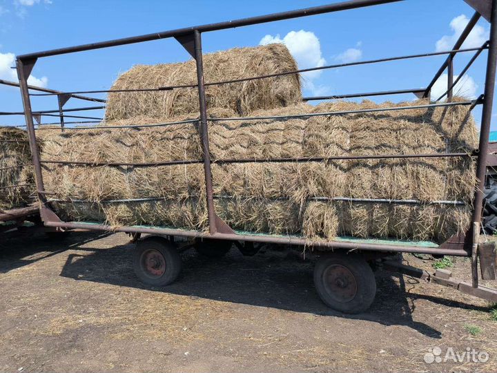Сено с доставкой