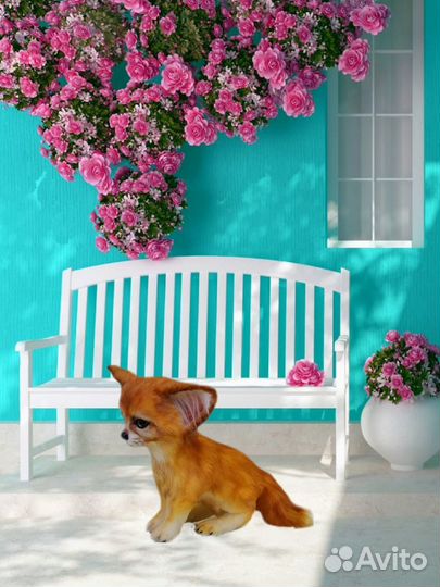 Лисенок Фенек (ручная работа)