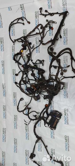 Проводка моторного отсека Kia Rio 3 91200Y031