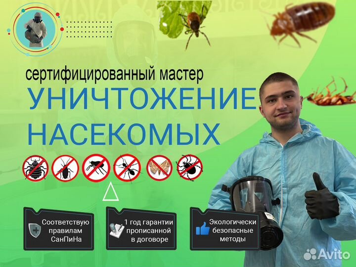 Дезинсекция от тараканов и клопов