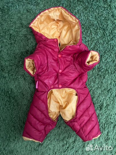 Одежда для собак