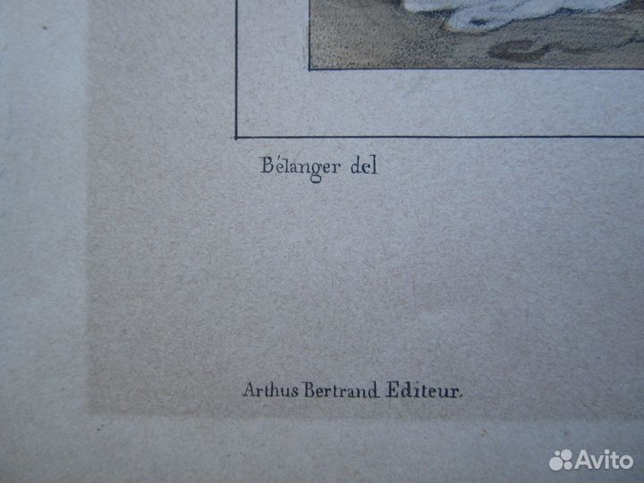 Старинная цветная литография гравюра Тифлис 19 век