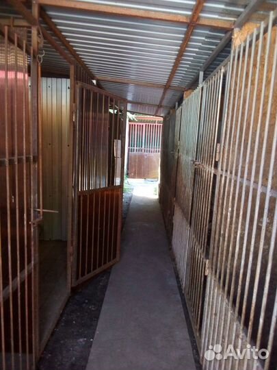 Частная гостиница для собак 