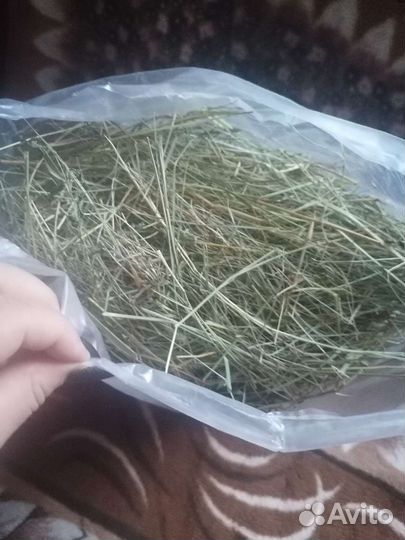 Сено луговое