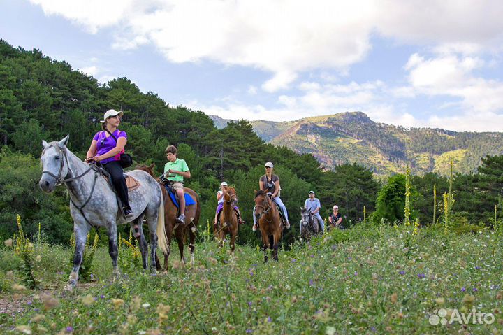 Конные прогулки. Экскурсии на лошадях по Крыму