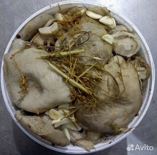 Грибы маринованные опт